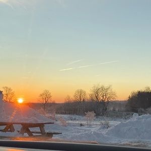 Meet your Posher, Dalayna